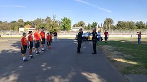 Sheriff's Activities