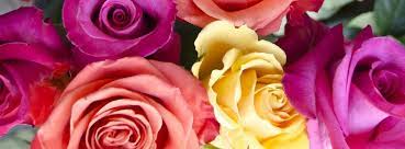 Hours may change under current circumstances Expressions By Elizabeth Florist Gift Shop Home Facebook