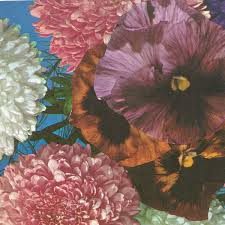 See 550 traveler reviews, 467 candid photos, and great deals for aloft cleveland downtown, ranked #27 of 40 hotels in cleveland and rated 3.5 of 5 at tripadvisor. Annual Flowers In Color Og Mix Imaginary Softwoods