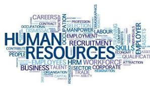 Human Resource Hr Human Resources Hr Interview Questions Human Resources Humor