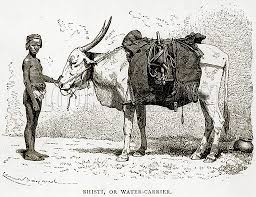 Bhisti, or Water-Carrier stock image ...