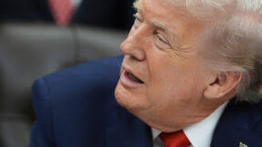 CNN Panel Argues Over Whether Blackface Actress Julianne Hough Has Black  Friends, Concede None Know