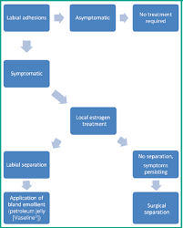Image result for Labial Fusion