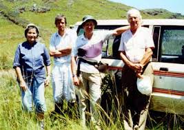 Image result for Cheilanthes angustifrondosa