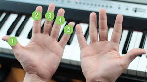 3 ways to place your fingers properly on piano keys wikihow