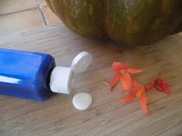 Lait Creme Demaquillant Aux Fruits D Automne Du Jardin 100 Plantes Ma Passion Fruits D Automne Demaquillant Creme