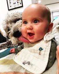 Dan Lerman (@danlerman) • Fotos y videos de Instagram