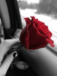 Check spelling or type a new query. ØµÙˆØ± ÙˆØ±ÙˆØ¯ Ø±Ø§Ø¦Ø¹Ø© 2021 ØµÙˆØ± ÙˆØ±Ø¯ ÙˆØ¨Ø§Ù‚Ø§Øª Ø²Ù‡ÙˆØ± Ø²ÙŠÙ†Ù‡