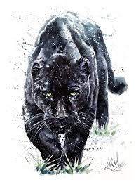 Art Nature Drawing Black And White Panther Black Watercolor Jaguar Background Animal White Wildlife Leopard Art Nature Illustration Panther Art Black Panther Drawing Animal Drawings