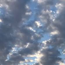 Bethany Carson (bethanycarson)