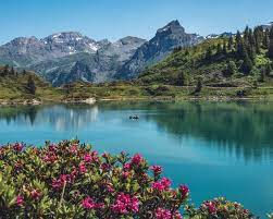 We have had an opportunity to design and. Beautiful Flowers Landscape Photos Facebook