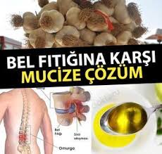 Bel Fitigina Kesin Cozum Food Animals Dog Food Recipes Health