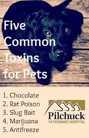 We did not find results for: 49 247 Pet Clinic Rajouri Garden Ideas In 2021 Petsurga