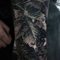 The designs center on the focused demeanor of lions; 86 Awesome Half Sleeve Tattoos Ideas Tattoo Pictures