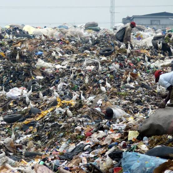 The Problem with Solid Waste Management in Nigeria's Low-Income Neighbourhoods | Earth.Org