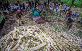 We did not find results for: Ampas Tebu Baggase Potensi Pengertian Pemanfaatan Lengkap