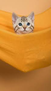 Check spelling or type a new query. Pidato Singkat Untuk Mengajak Teman Teman Gemar Membaca Brainly Co Id