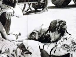 Throwback: Daredevil Big B wrestled a real tiger in ‘Khoon Pasina’!
