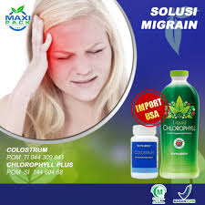 Hal ini mengaakibatkan otak memberikan respon berupa sakit kepala. Obat Sakit Kepala Sebelah Kanan Belakang Klorofil Colostrum Maxi Pack Herbal Shopee Indonesia