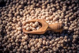 Image result for Cicer