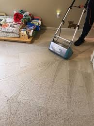 Our products are both safe and extremely effective. Thank You Glenn Dry Green Cleaning Llc Carpet Cleaning United States Detroit Michigan