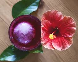 Hibiscus Elderflower Iced Tea The Flower Of A Hibiscus Rosa Sinensis Hibiscus Elderflower Iced Tea Recipe W Iced Tea Recipes Elderflower Black Tea Leaves