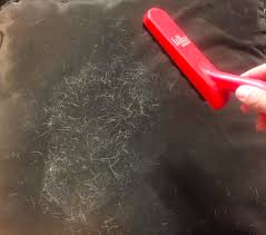 If you have cats, dogs or other fur animals you know exactly how it feels when you invite guests to a hairy home. 2 Pack Pet Fur Remover Best Pet Hair Remover Pet Stone Multi Cleaner Pet Hair Cleaner Lint Remover Pet Hair Lifter Elevate Essentials Pet Hair Stone For Car Dogs Grooming Emosens Fr
