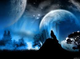 Download for free wallpapers lobo wolf. 1800 Stars Hd Wallpapers Background Images