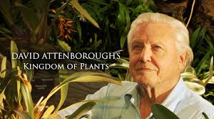 Watch David Attenborough's Kingdom Of Plants Online