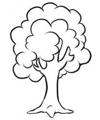 Are you searching for pencil tree png images or vector? How To Draw A Simple Tree Step By Step With Pencil Easy For Beginners Kids Rock Draw
