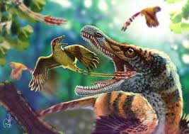 Bird With Flashy Tail Was 1st Of Its Kind On Ancient Supercontinent Prehistoric Animals Extinct Animals Animals