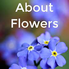 All kinds of flowers lyrics. 71 Songs About Flowers Spinditty