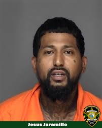 High-speed vehicle pursuits. A helicopter. Not one, but two dog bites.  Sounds like a good episode of COPS, doesn't it? Actually, it all happened  last night in Avon Park. Yesterday, we received