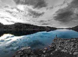 Turn black and white pictures to color in seconds. Color Splash Free Online Color Splash Effect Fotor Photo Editor