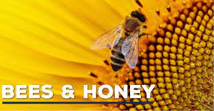 Bees&honey