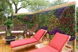 Urban Landscape Panel Designed For Privacy And Sound Abatement Green Wall Green Roof Planting Backyard