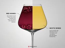 Image result for Wine