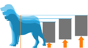 Line up the frame of the pet door with the opening. Utah Pet Access Dog Door Installation In Utah