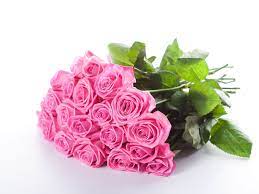 Find the perfect rose picture from over 40,000 of the best rose images. Pink Flower Bouquets Bouquet Of Pink Roses Hd Flower Wallpaper Pink Rose Bouquet Rose Flower Wallpaper Pink Flowers Wallpaper