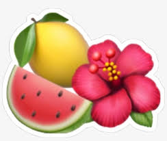 Download icons in all formats or edit them for your designs. Lemon Watermelon Emoji Tumblr Tropical Iphoneemoji Emoji De Una Flor 1113x885 Png Download Pngkit