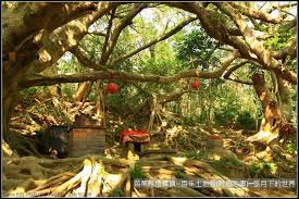 The website collected by this website comes from the. è‹—æ —ç¸£å¾Œé¾éŽ®ç™¾å¹´åœŸåœ°å…¬ é™„æŒ‡ç¤ºåœ– å¼¦æœˆä¸‹çš„ä¸–ç•Œ ç—žå®¢é‚¦