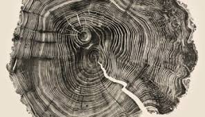 Bryan Nash Gill woodcuts