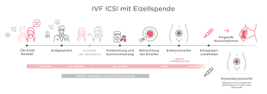 Wir verraten dir alles darüber, welche bedeutung. Ivf Cube Prag Tschechien Ivf Therapie Prozedere Der Kinderwunschbehandlung Prag
