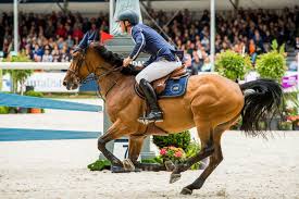 Check spelling or type a new query. Kraften I Bakandan Ar Det Intressanta Ridsport