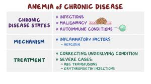 Anemia Of Chronic Disease Osmosis