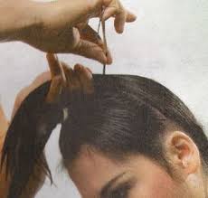 Realiza un corte de cabello. Pin En Pelo