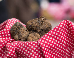 See more of a la truffe du perigord on facebook. La Truffe Du Perigord Et Le Marche De Lalbenque