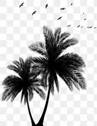 Check spelling or type a new query. Sunset Beach Images Sunset Beach Transparent Png Free Download