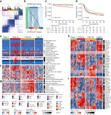 These infections are often also referred to as cystitis or urinary tract infections (uti). An Integrated Multi Omics Analysis Identifies Prognostic Molecular Subtypes Of Non Muscle Invasive Bladder Cancer Nature Communications
