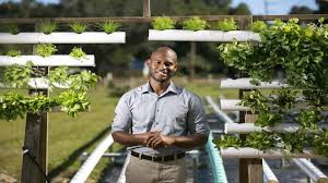 The School Of Aquaponics